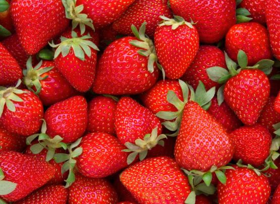 fresas
